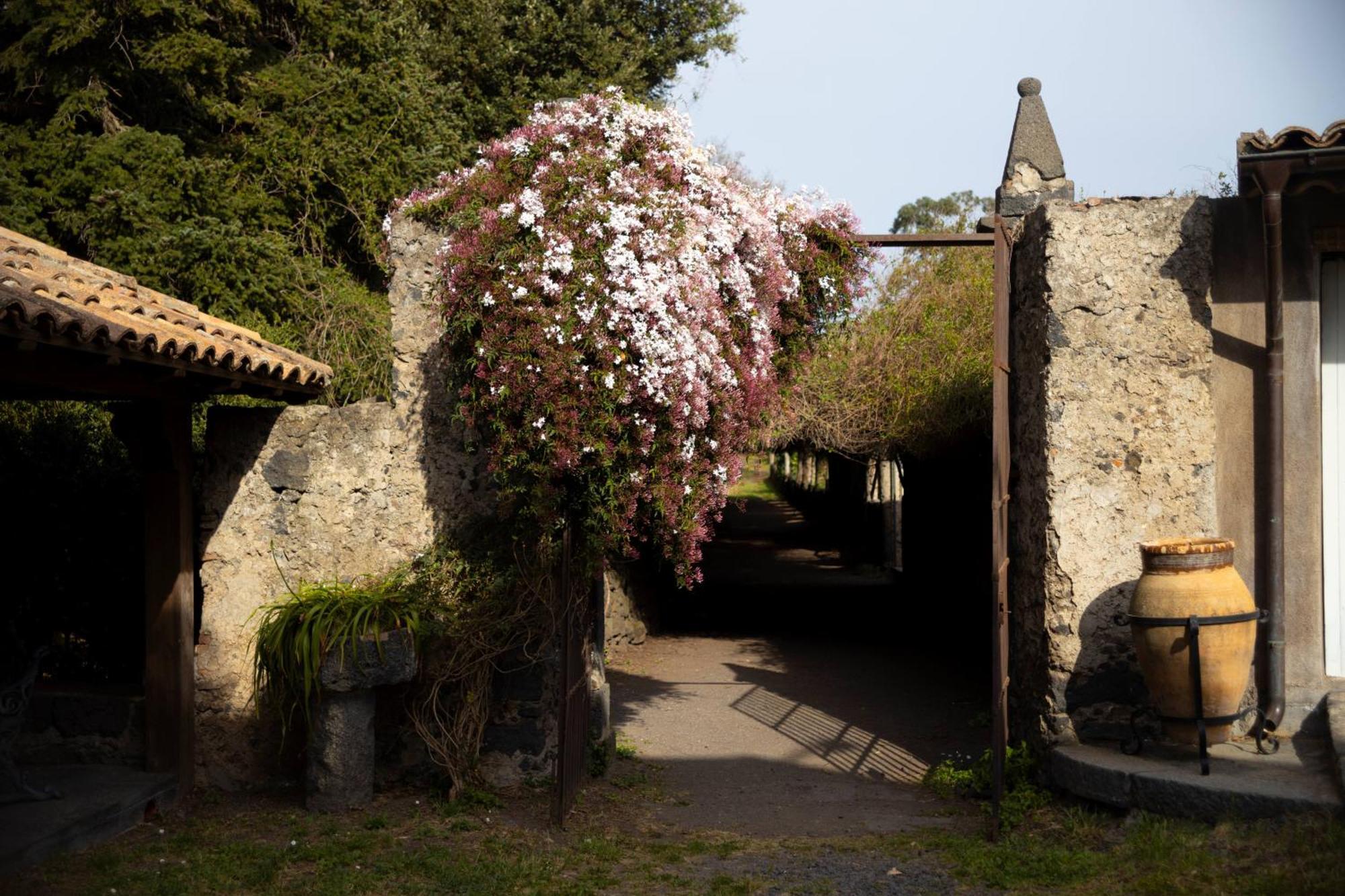 Villa Parco Statella Montelaguardia Exterior foto